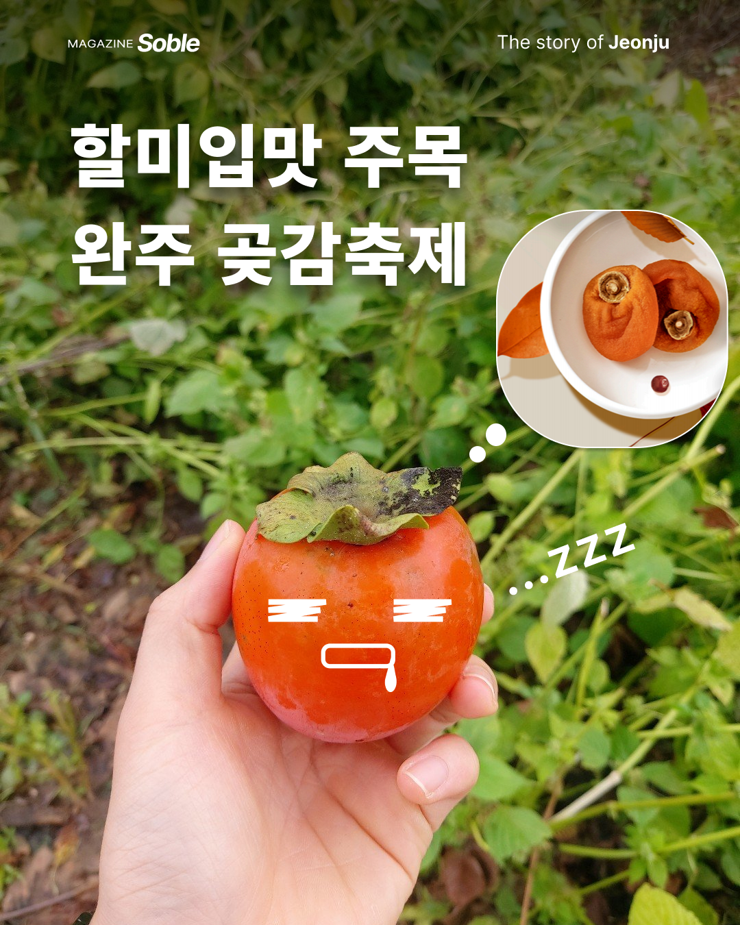 db269180e81e8.png
