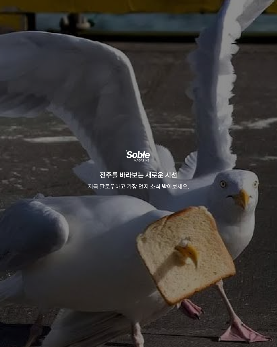 e5f37823df9ab.png