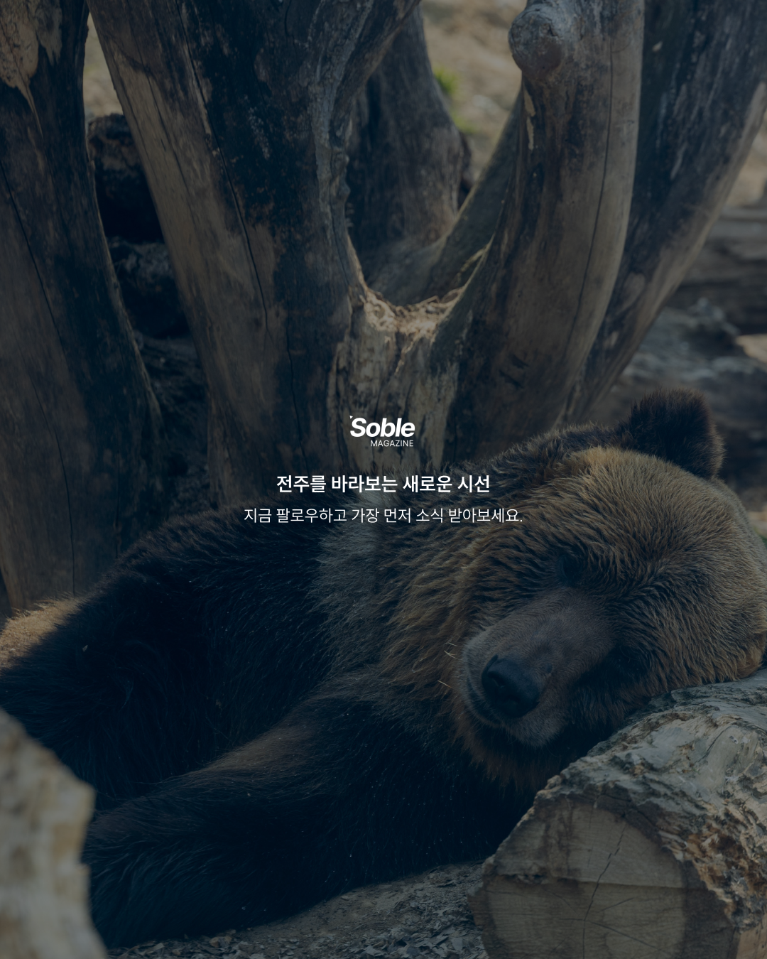 f3bdbc56a835a.png