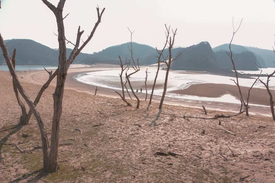 천호선 굴업도.jpg