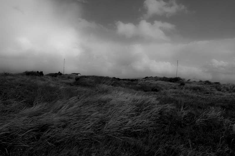 이순녀-On the road.jpg