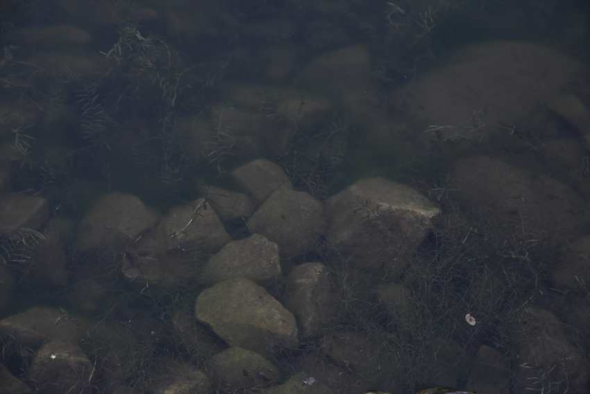 김경진, 숨보다, 100 x 150 cm, 2003-4. #3 (5).jpg