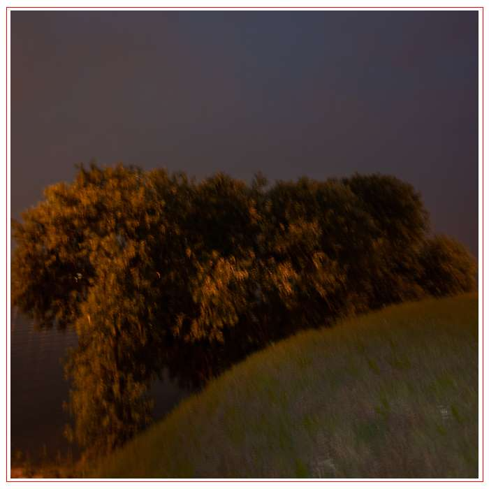 8-Pareidolia  3(2011).jpg