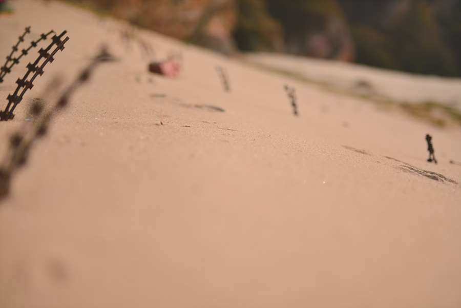 임경화.jpg