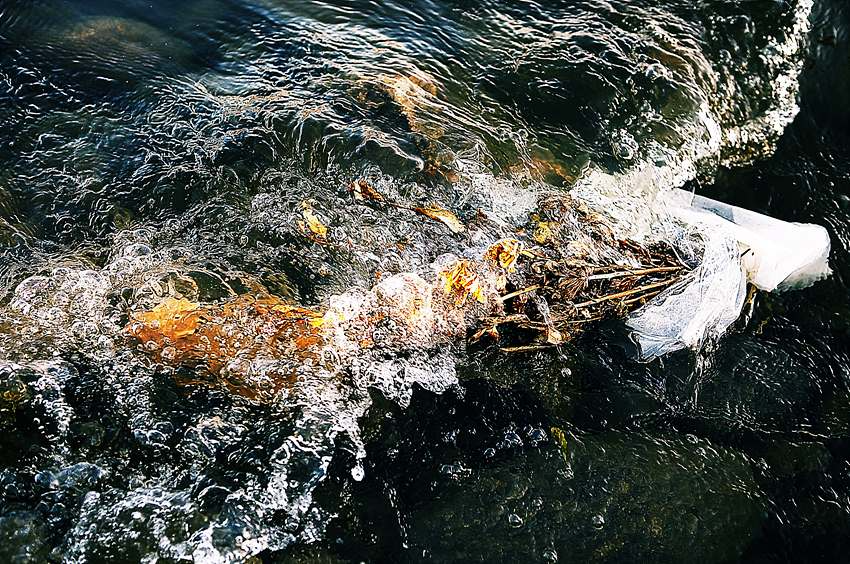 이순녀-Danse  macabre.jpg