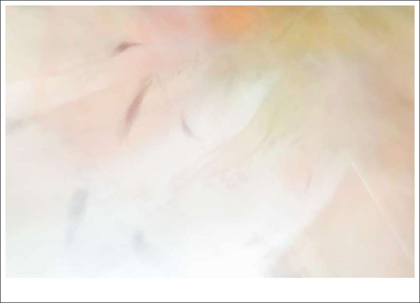 손미화 전시사진-1.jpg