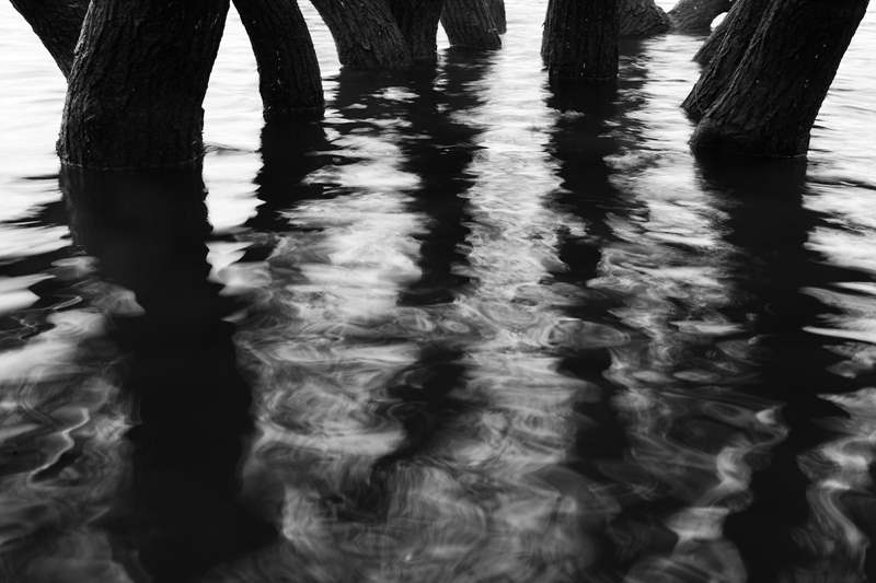 05101524 _ Digital Inkjet Pigment Print _ 66 x 100cm _ 100만원.jpg