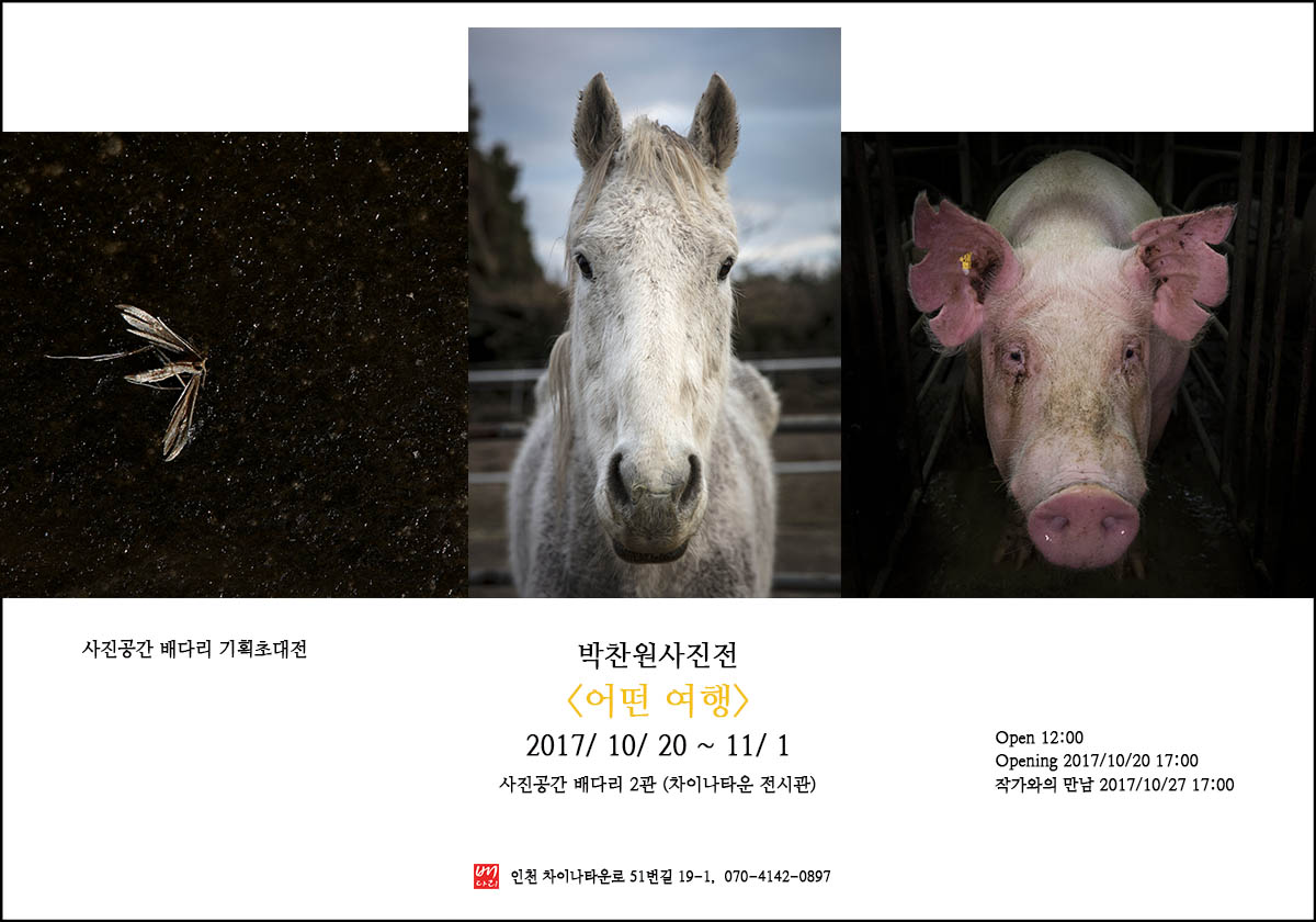 박찬원사진전포스터-인터넷.jpg
