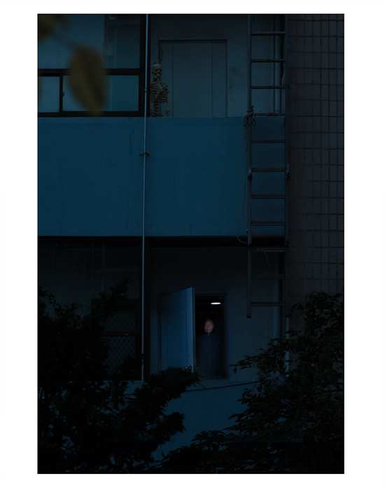 The dream of shadows15-2013.jpg