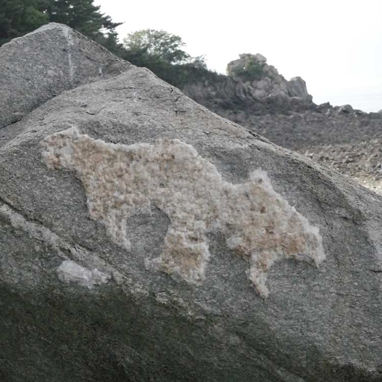 소야도김선도   (4).jpg