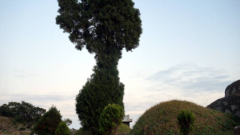 세월_이재은 (2).jpg