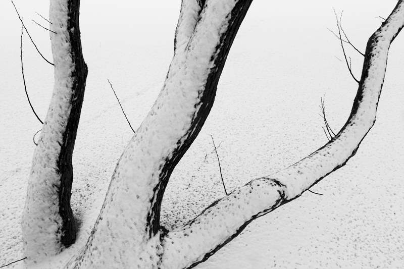 01311649 _ Digital Inkjet Pigment Print _ 66 x 100cm  _ 100만원.jpg