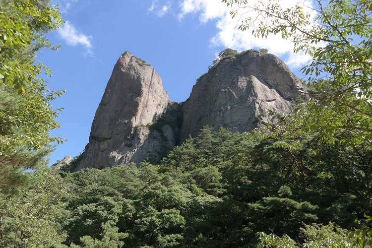 김선도-자연.jpg