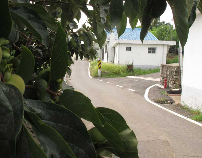 김덕주최종3.jpg