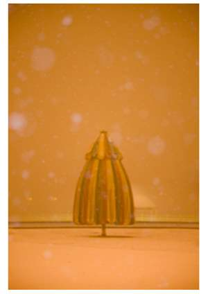 11 Deceber DreamⅠ100cmx67cm 2008년 이상윤.jpg