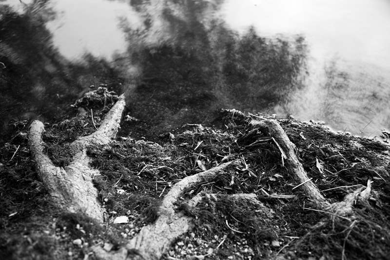 느린나무08211905 _ Digital Fineart Print _ 106 x 160cm   ⓒ 이기완.jpg