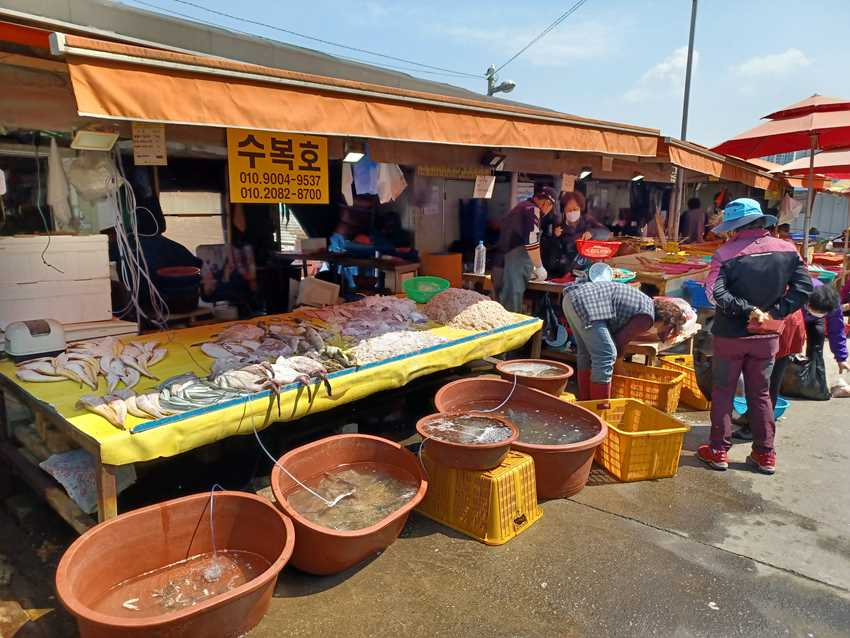 조선영 북성포구 (9).jpg