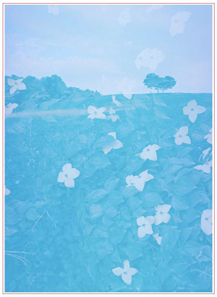 6-Superposition 1(2013_2019).jpg