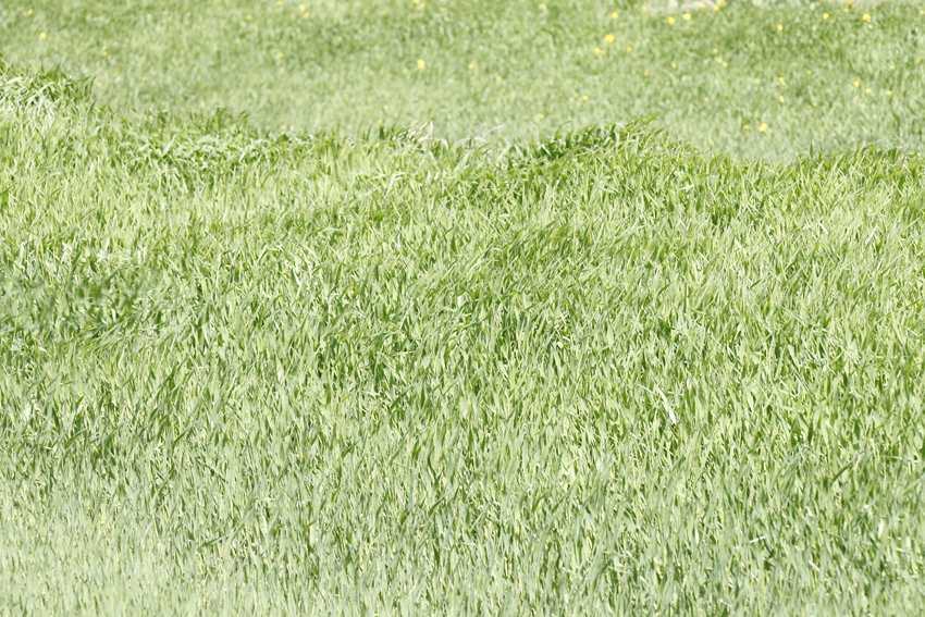 김경진, 숨보다, 100 x 150 cm, 2003-4. #5 (1).jpg