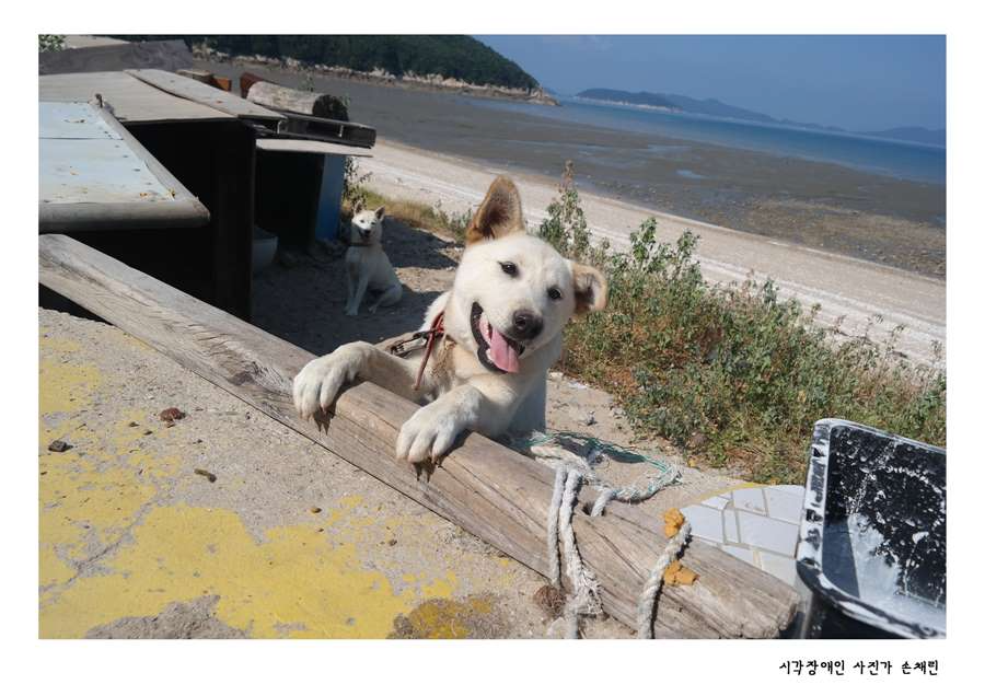 손채린1.jpg