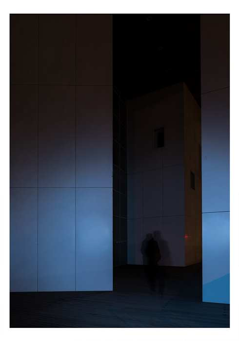 The dream of shadows12-2016.jpg