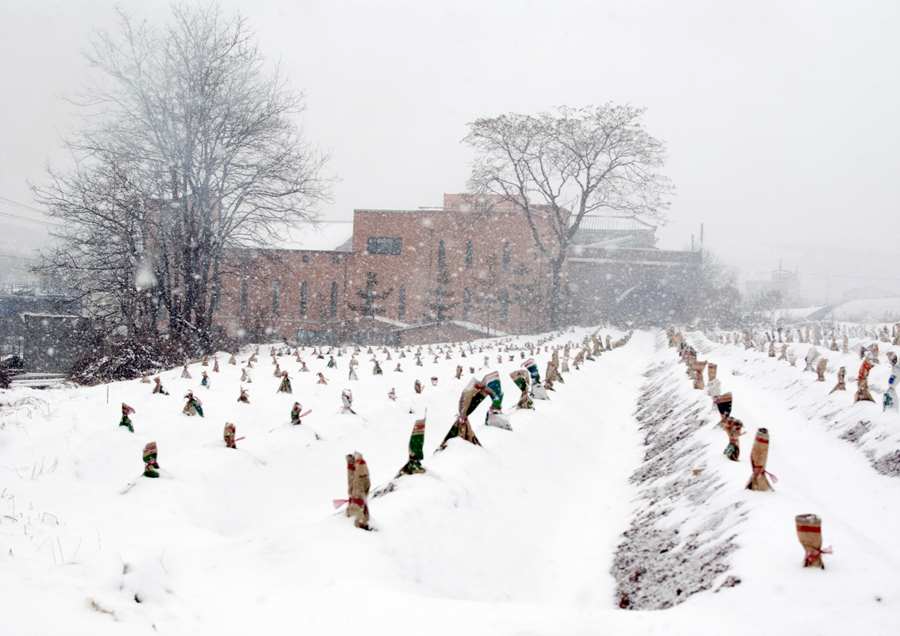 선학동-0-20090125-표지-_IGP9851.jpg