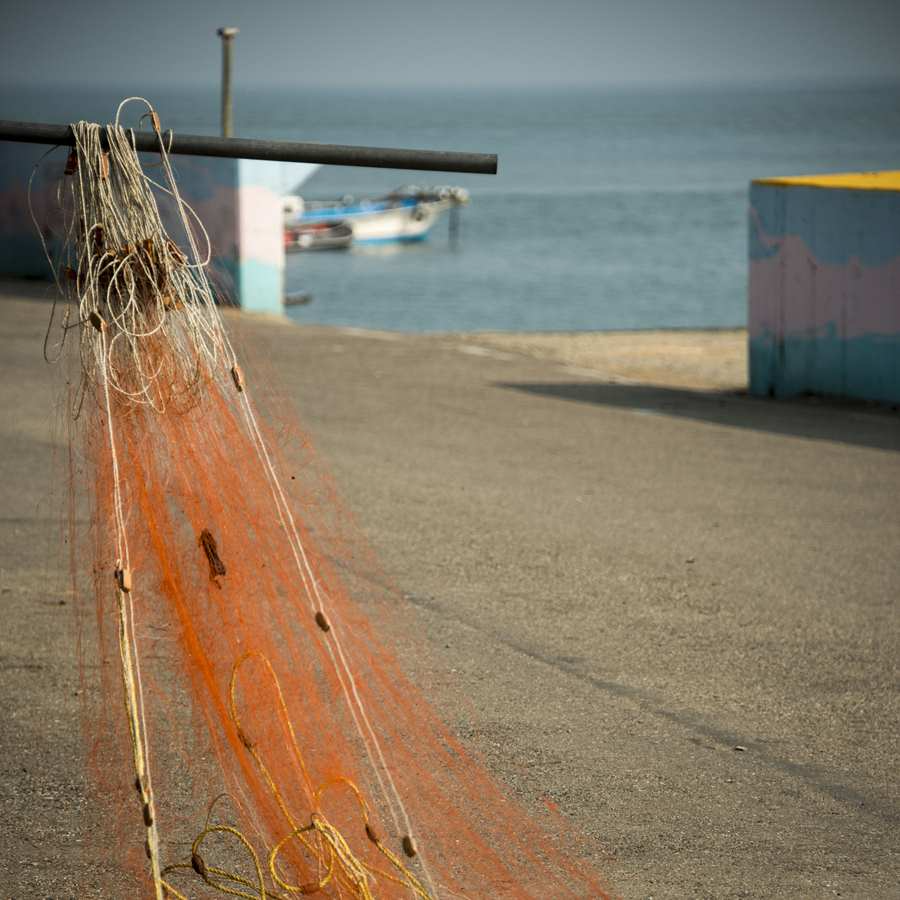 장봉도 (3).jpg