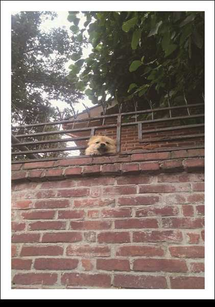 고2 김은지(개빼꼼).jpg