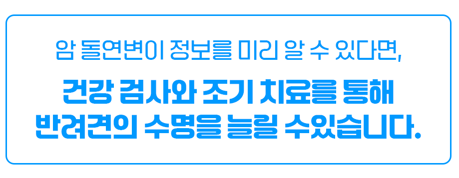 말풍선 이미지