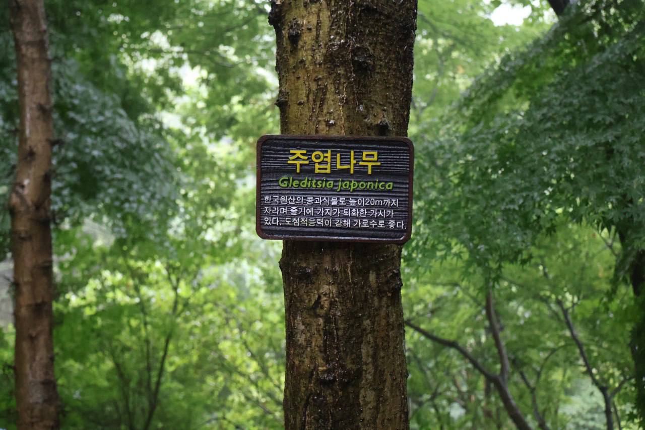 d92114751bd89.jpg