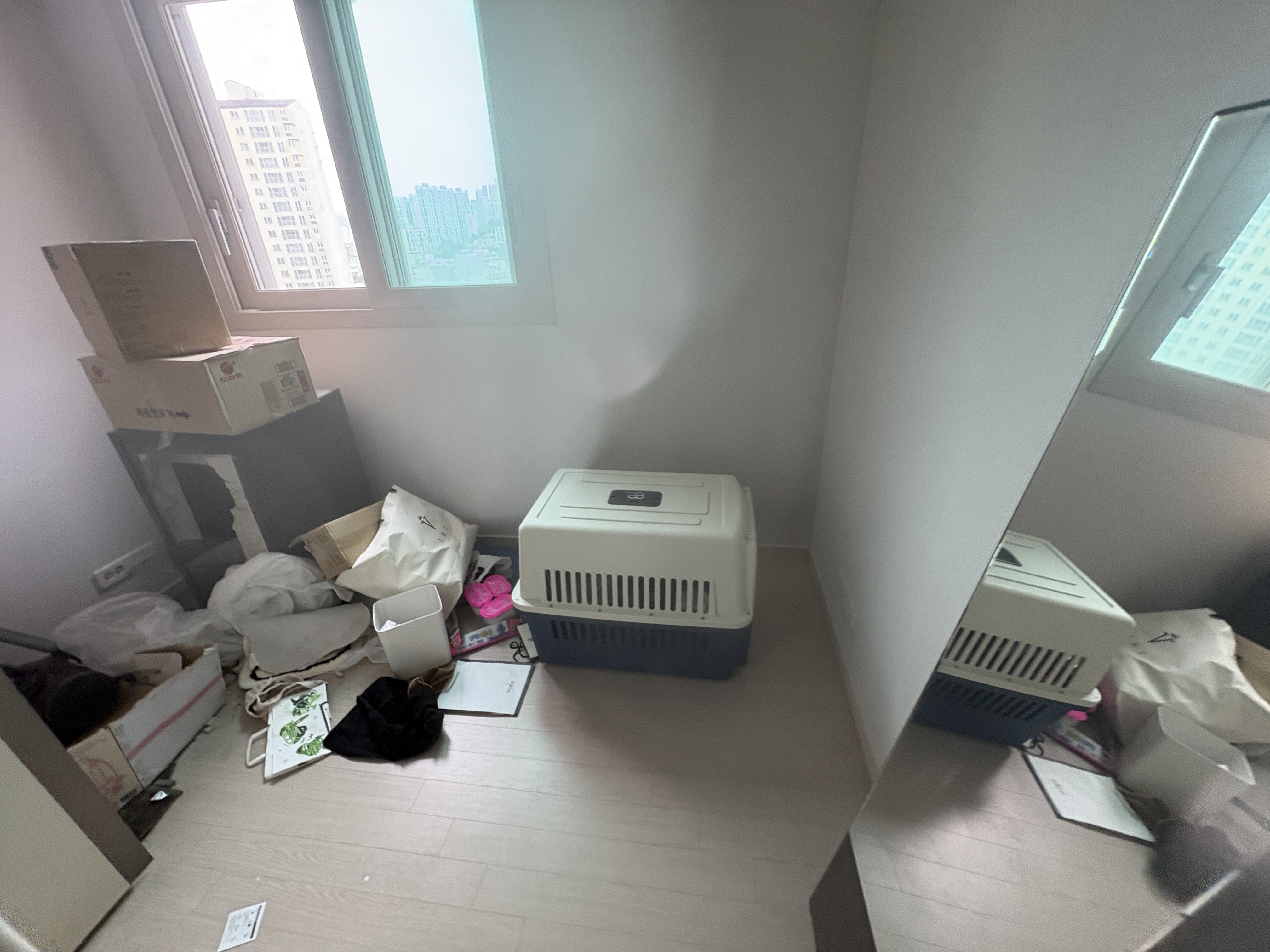 87a5059b06460.jpeg