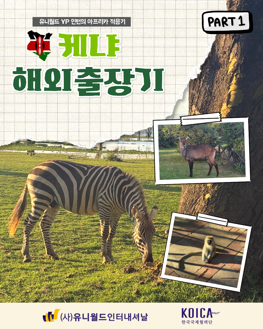 4858d9e8e85d1.png