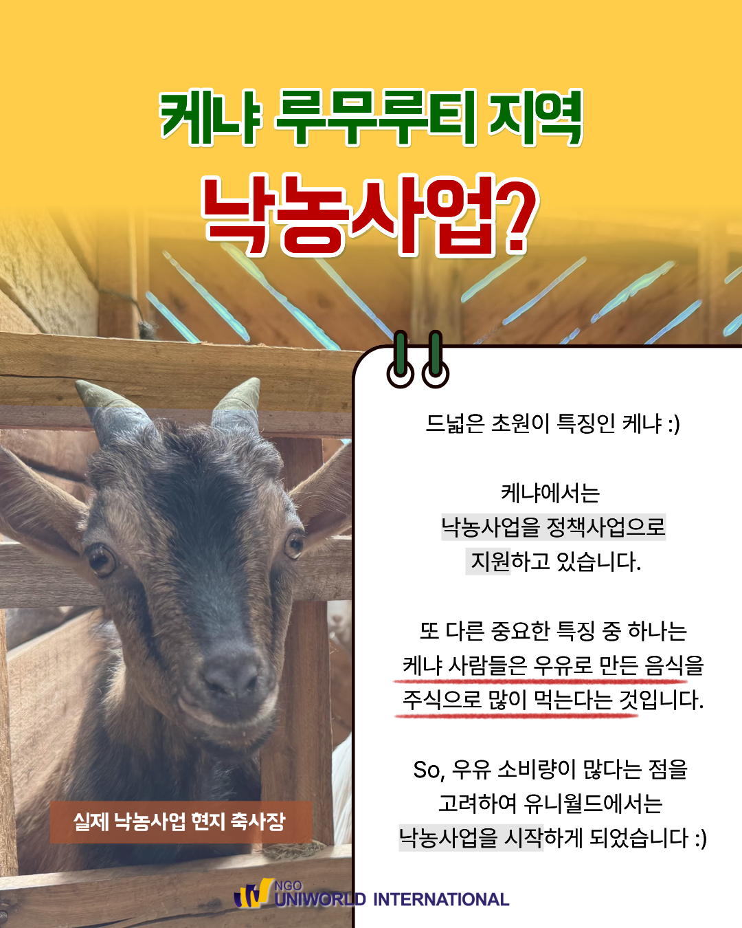 9ffe59295bac0.png
