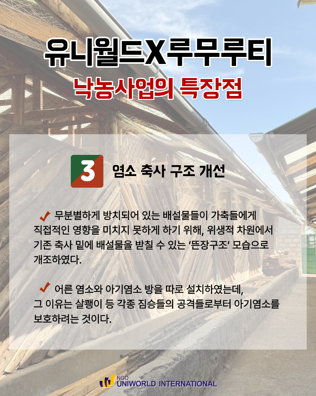 a25ea23314f29.png