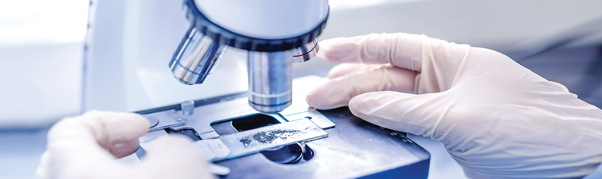 HLB그룹_홈페이지 사진 (4).png