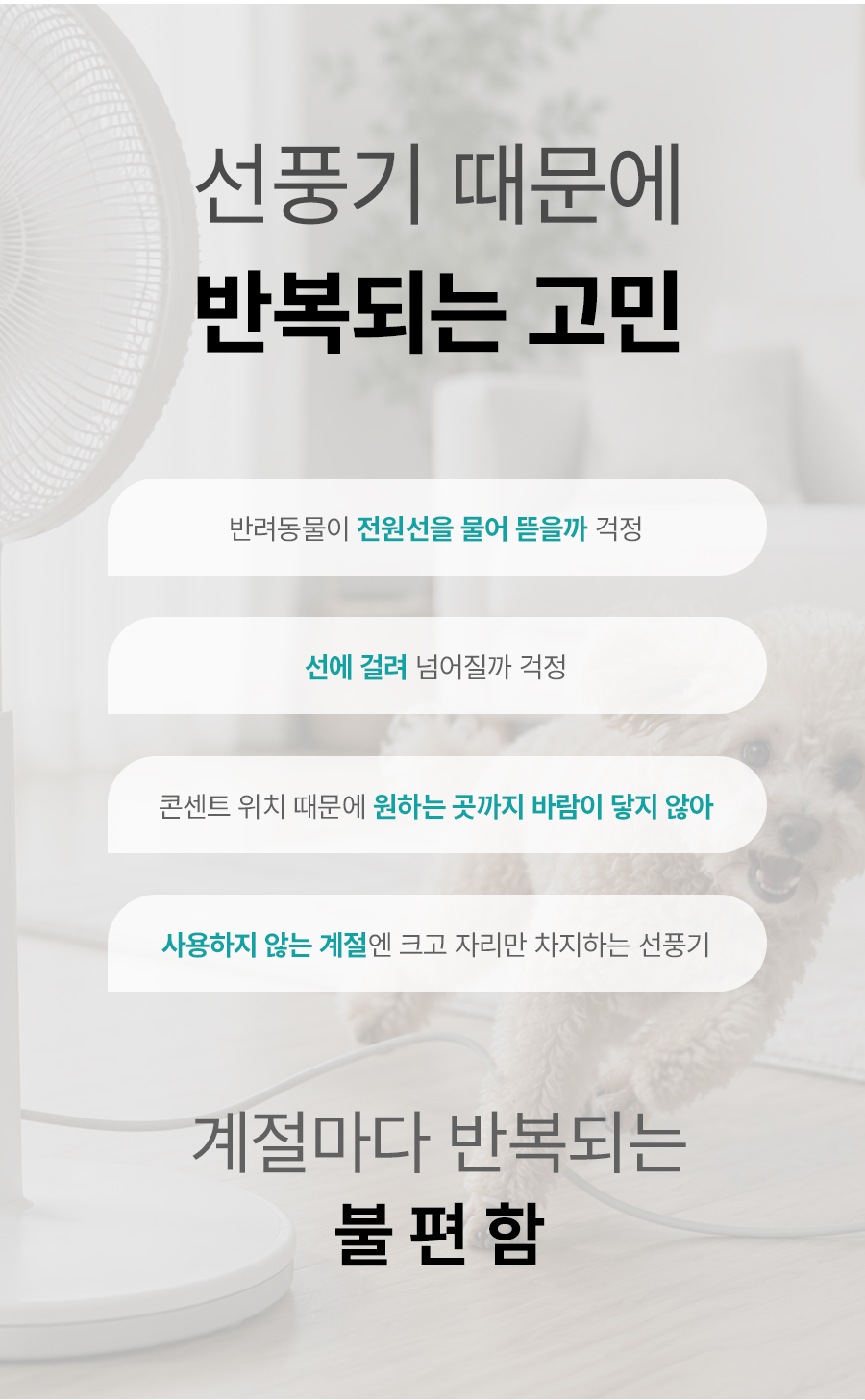 98a36ef9065fc.jpg