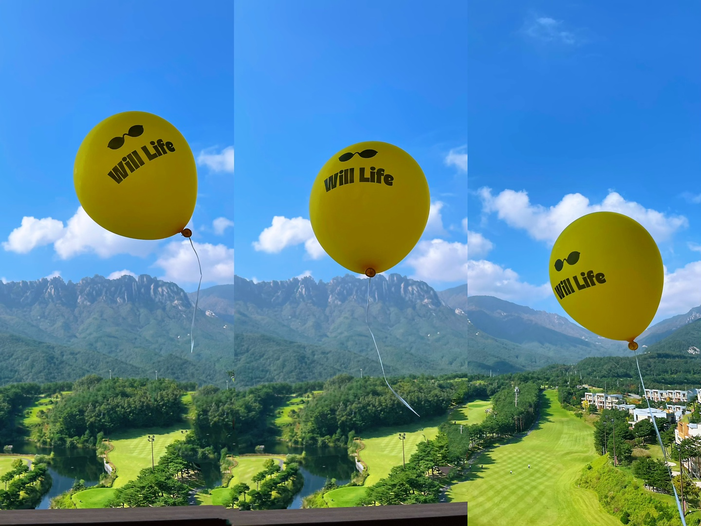 KakaoTalk_20260526_204233373_14.jpg
