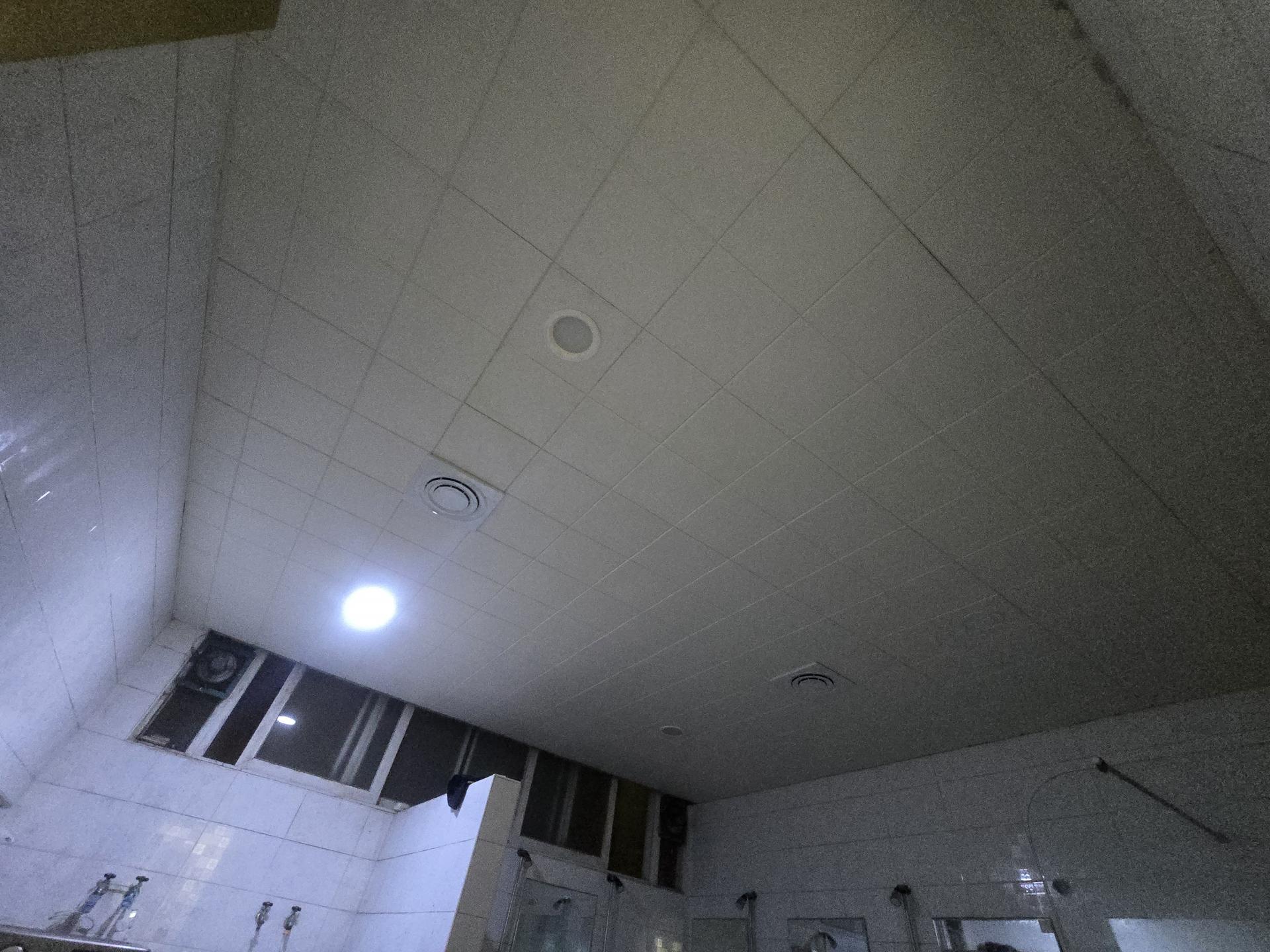 171a1fc8a2999.jpg