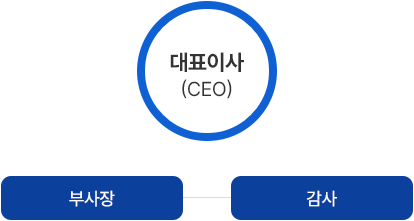 대표이사 > 부사장-감사