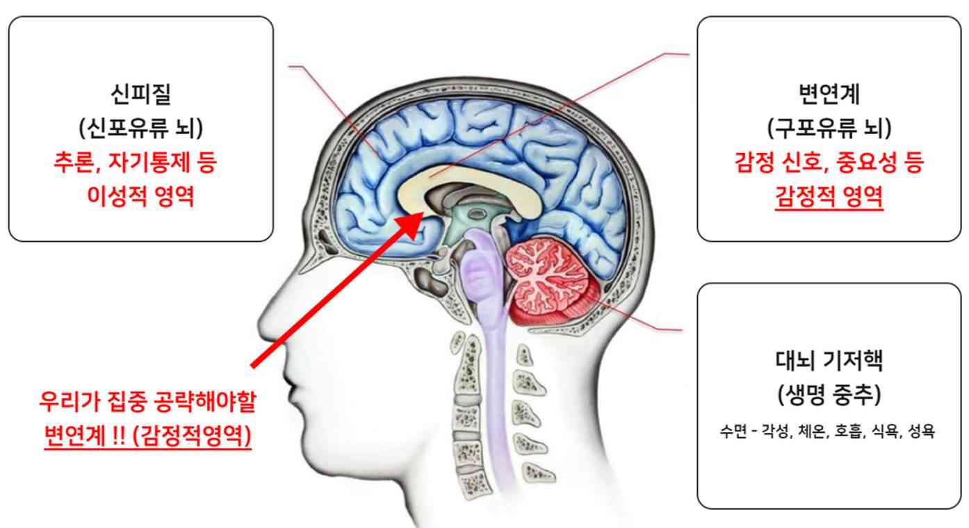변연계를 마비시키는 마케팅 필요