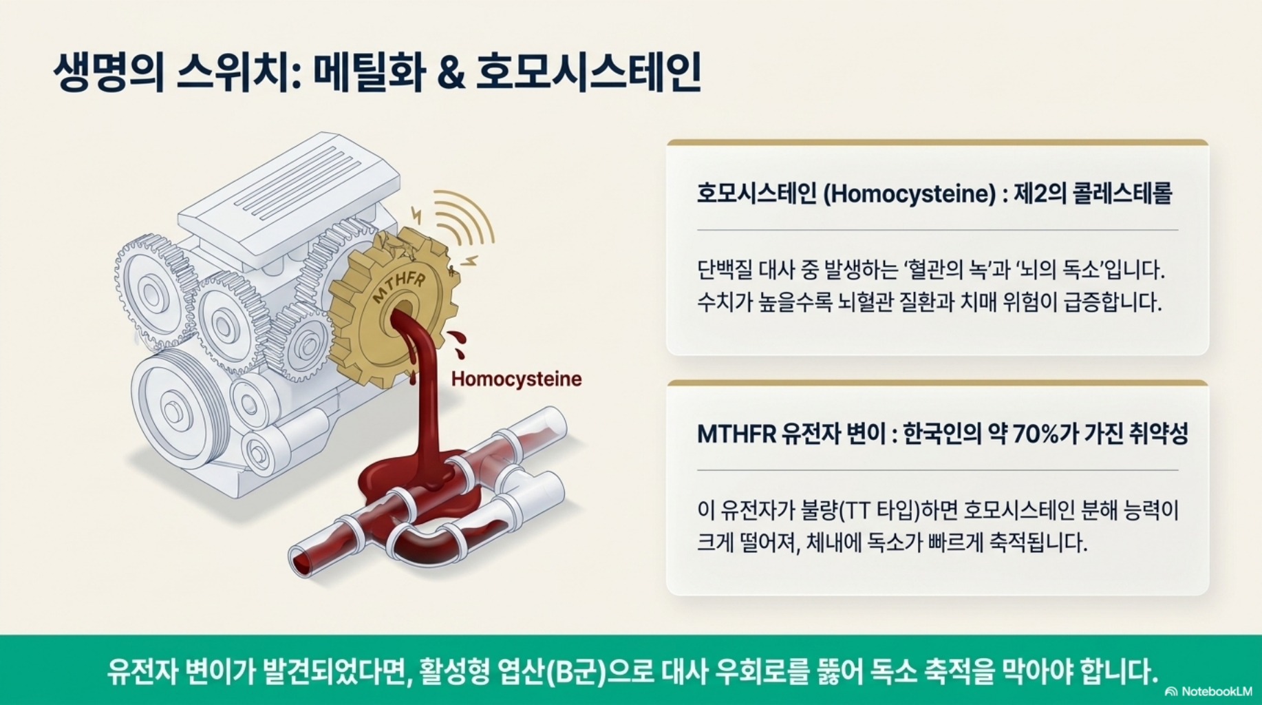 4dbeb635c5f52.jpg