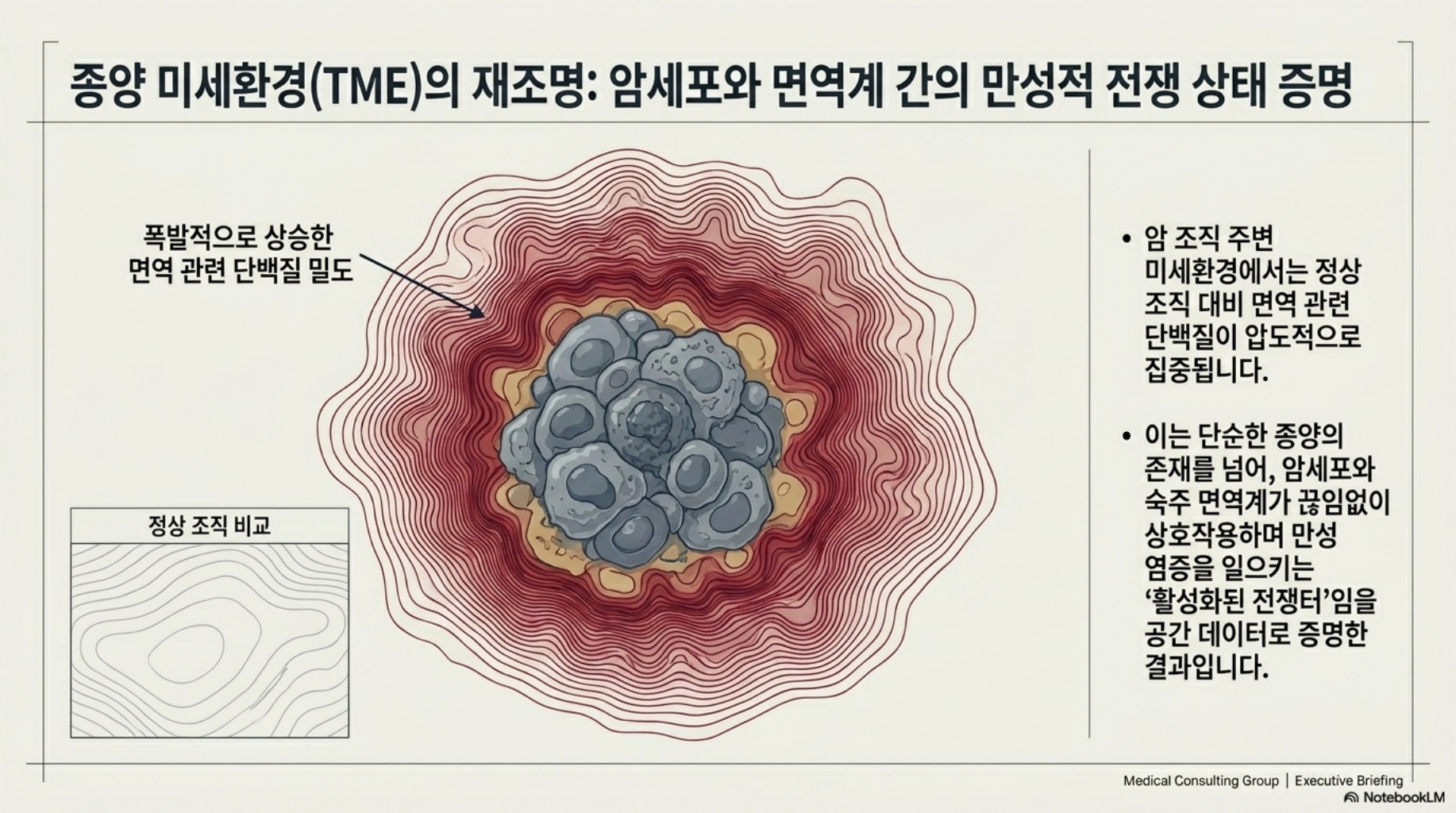 92478eae23cb1.jpg
