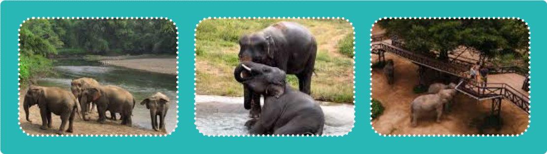 b46180319b014.png