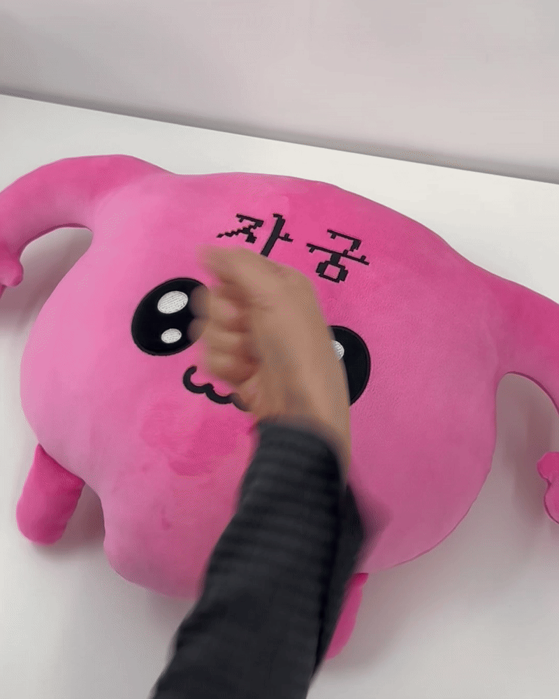 자궁이 모찌쿠션