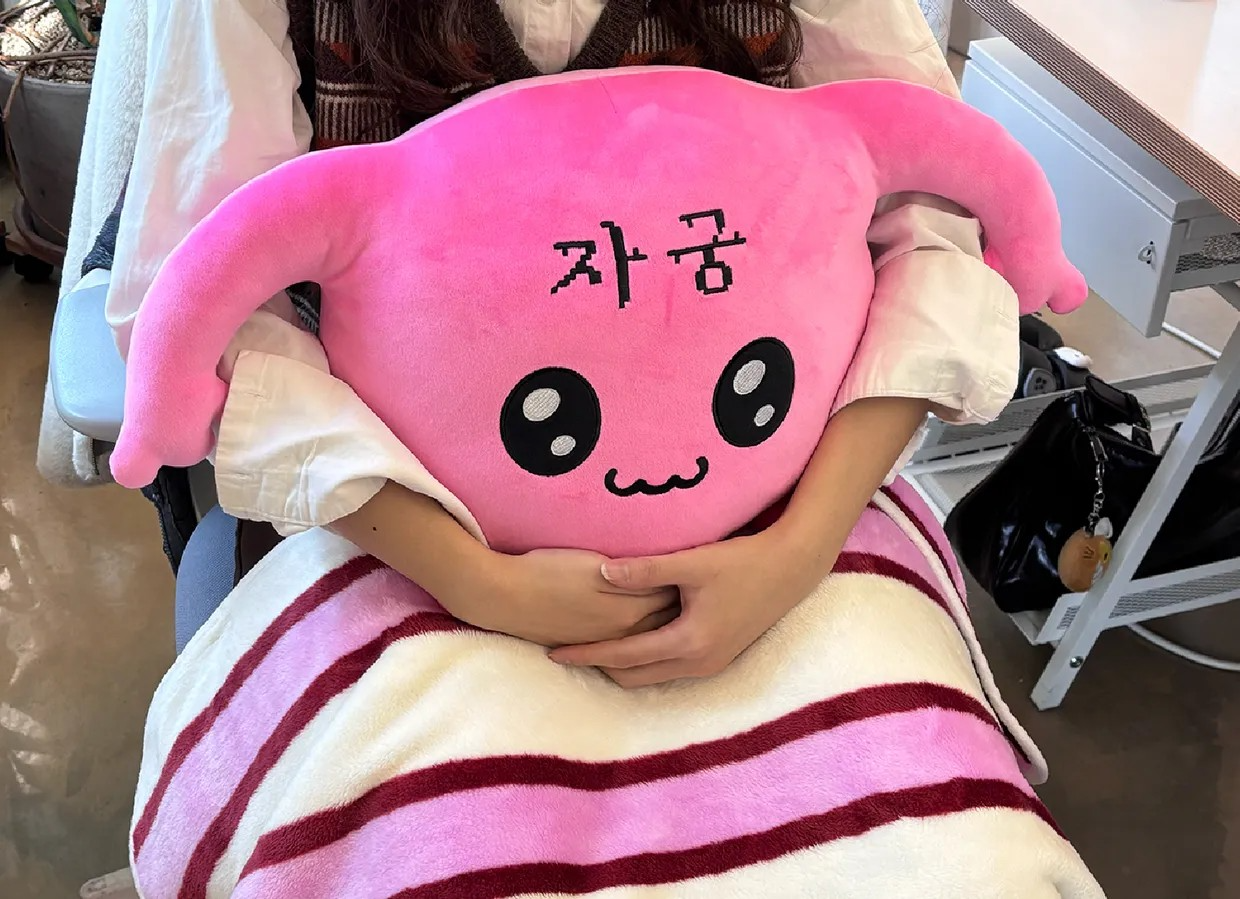 자궁이 모찌쿠션