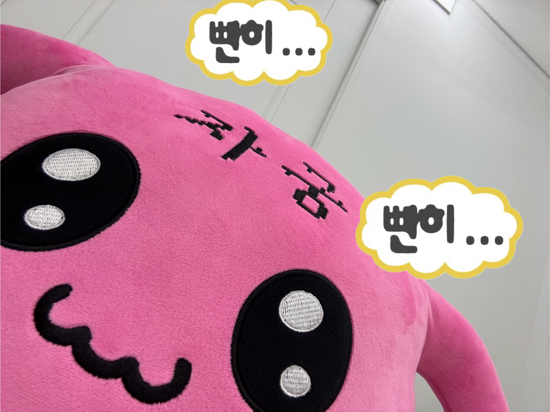 자궁이 모찌쿠션
