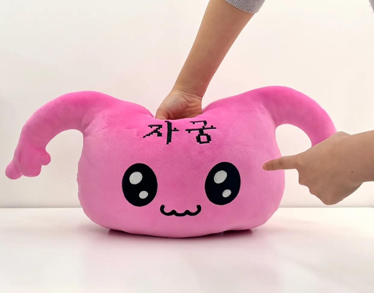 자궁이 모찌쿠션