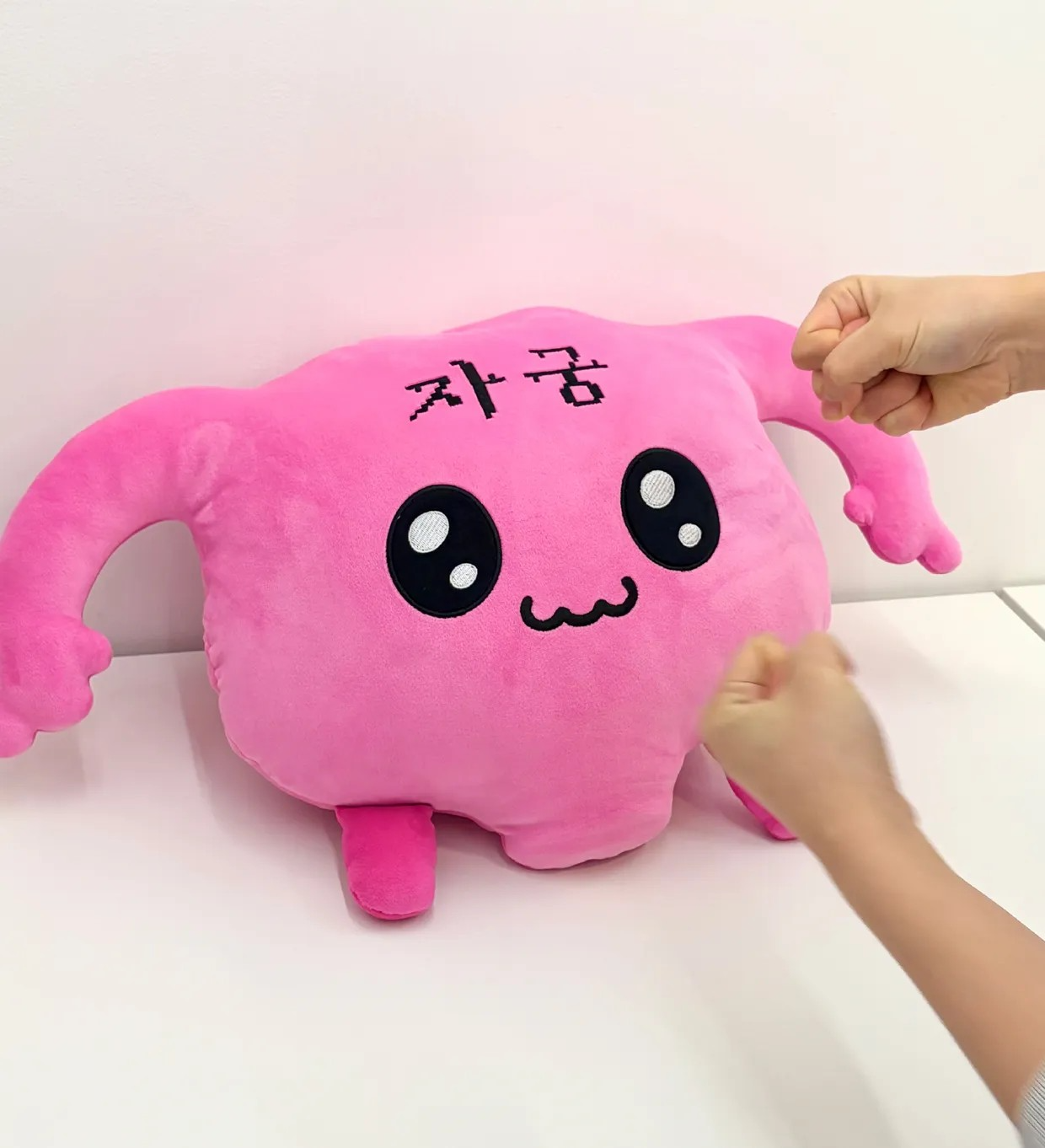 자궁이 모찌쿠션