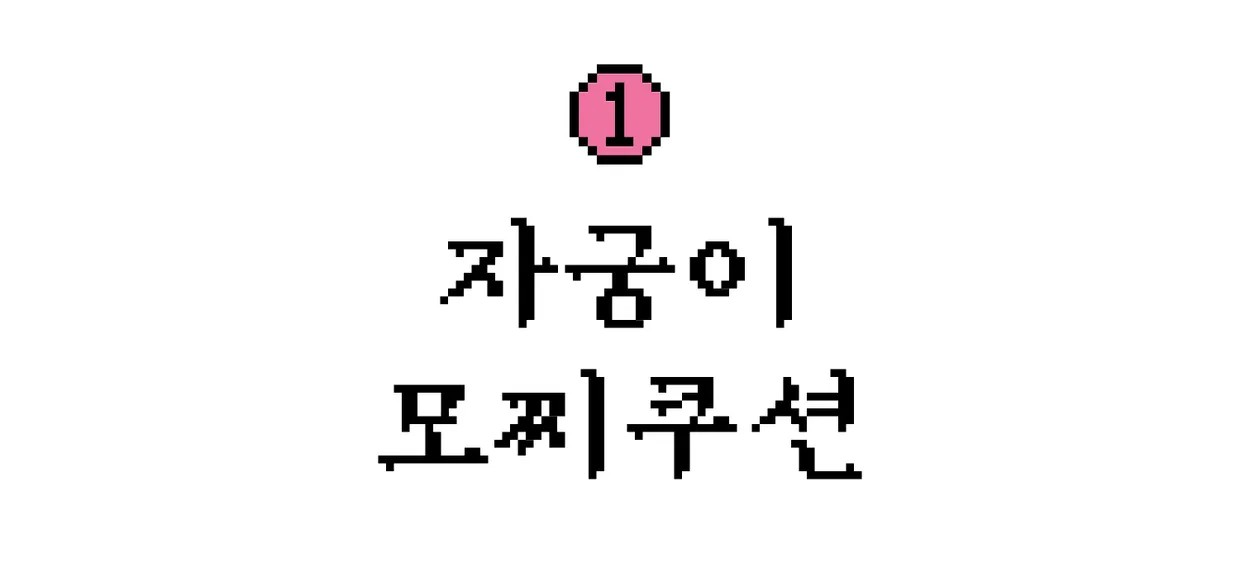 자궁이 모찌쿠션