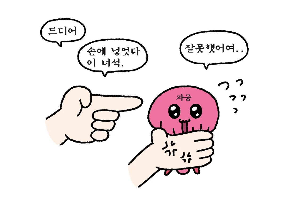 자궁이 모찌쿠션